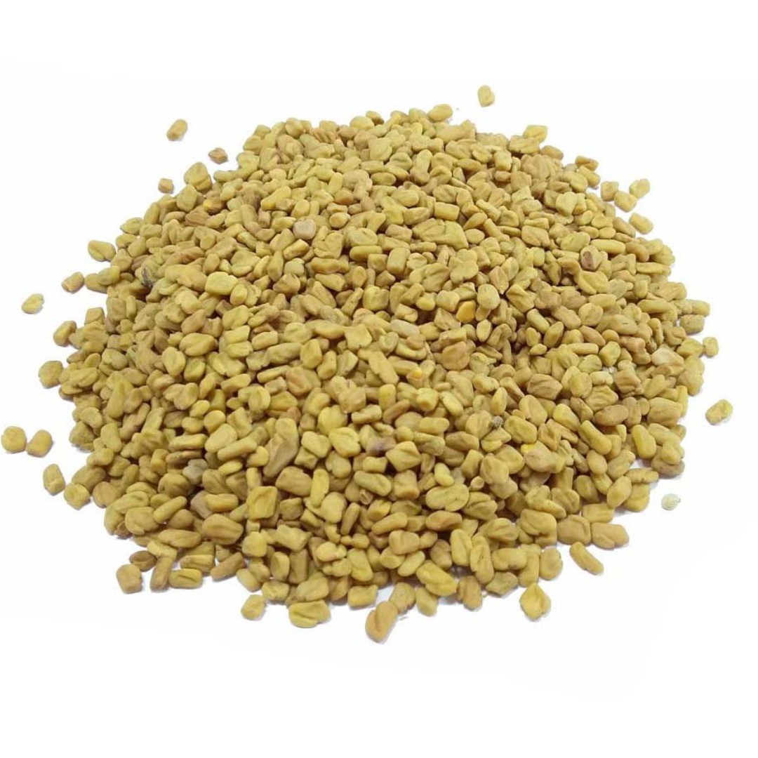 fengureek-Aromatic-Herbs-dryHerbs-Collection-for-export-at-good-price-and-high-qulaity-